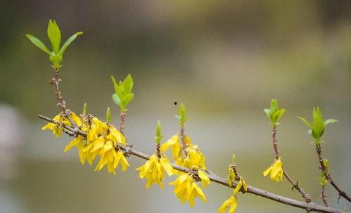 春暖花开娱乐群,欢乐时光，畅享无限